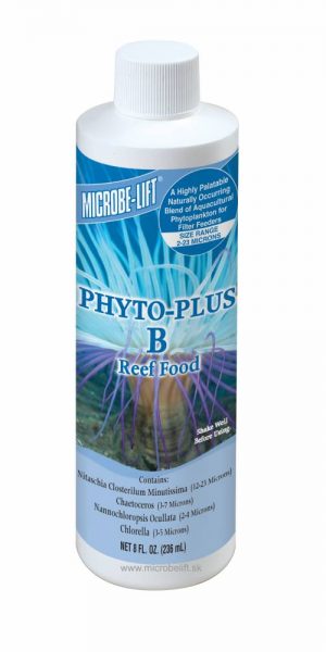 Phyto-Plus B Reef Food